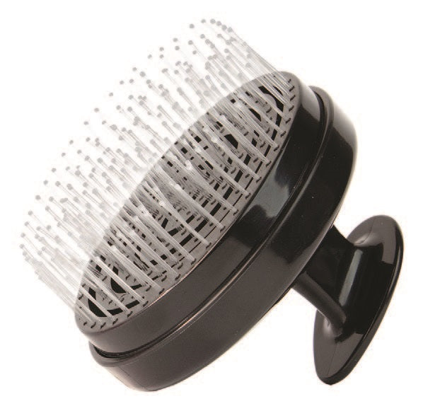 Shampoo Brush and Detangling Scalp Scrubber