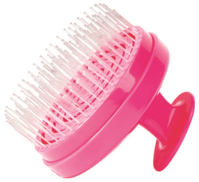 Shampoo Brush and Detangling Scalp Scrubber
