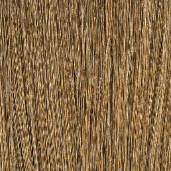 Tape in hair extensions colour P14/14/16