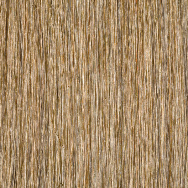 Tape in hair extensions colour P12/16/SB