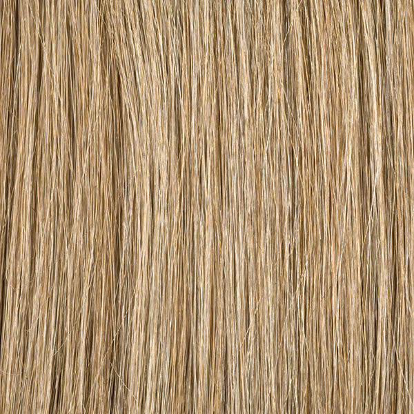 Tape in hair extensions colour P16/SB
