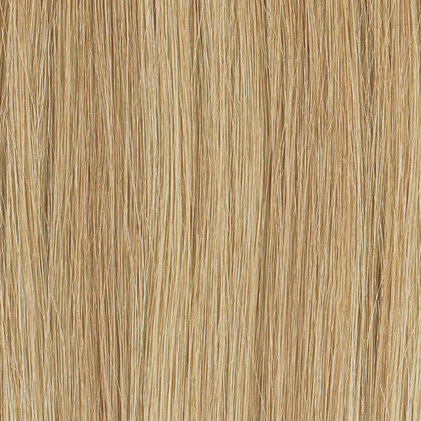 Tape in hair extensions colour P18/22