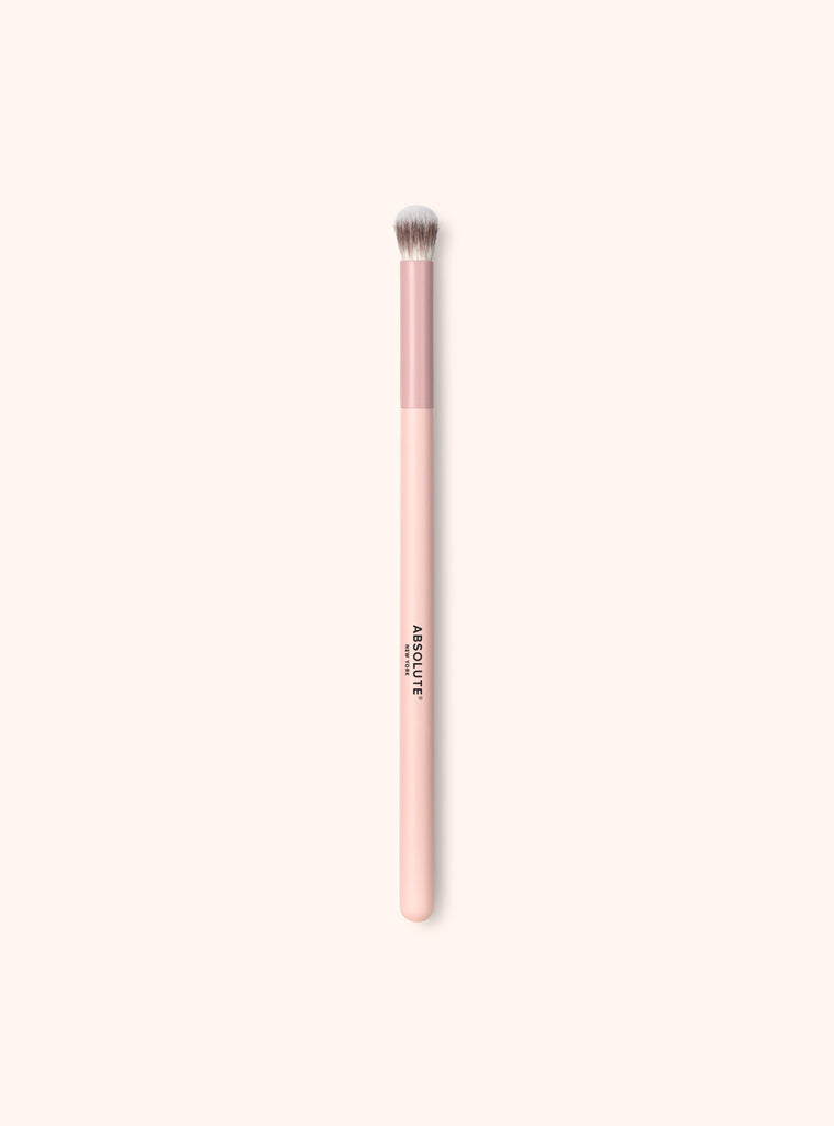 Pro Buffing Brush