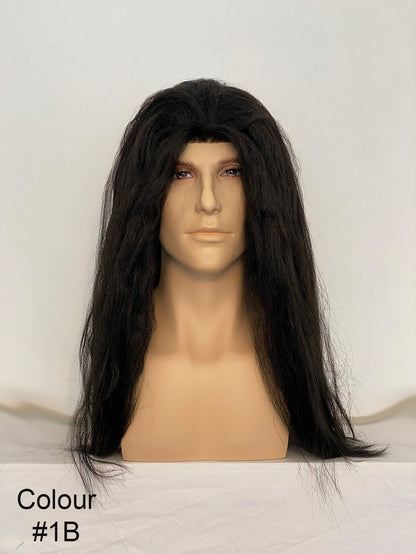 Long Hair Theatrical Wig