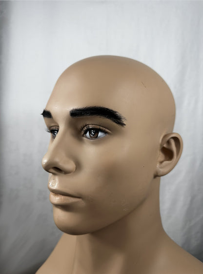 Image of prosthetic medical eyebrows left