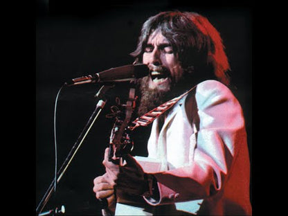 The Beatles George Harrison Theatrical Beard Set