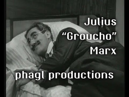 Groucho Marx Theatrical Eyebrows and Moustache Set