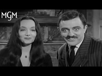 Adams Family Gomez Addams Costume Moustache