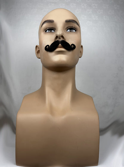 theatrical moustache with a tight waxed curl